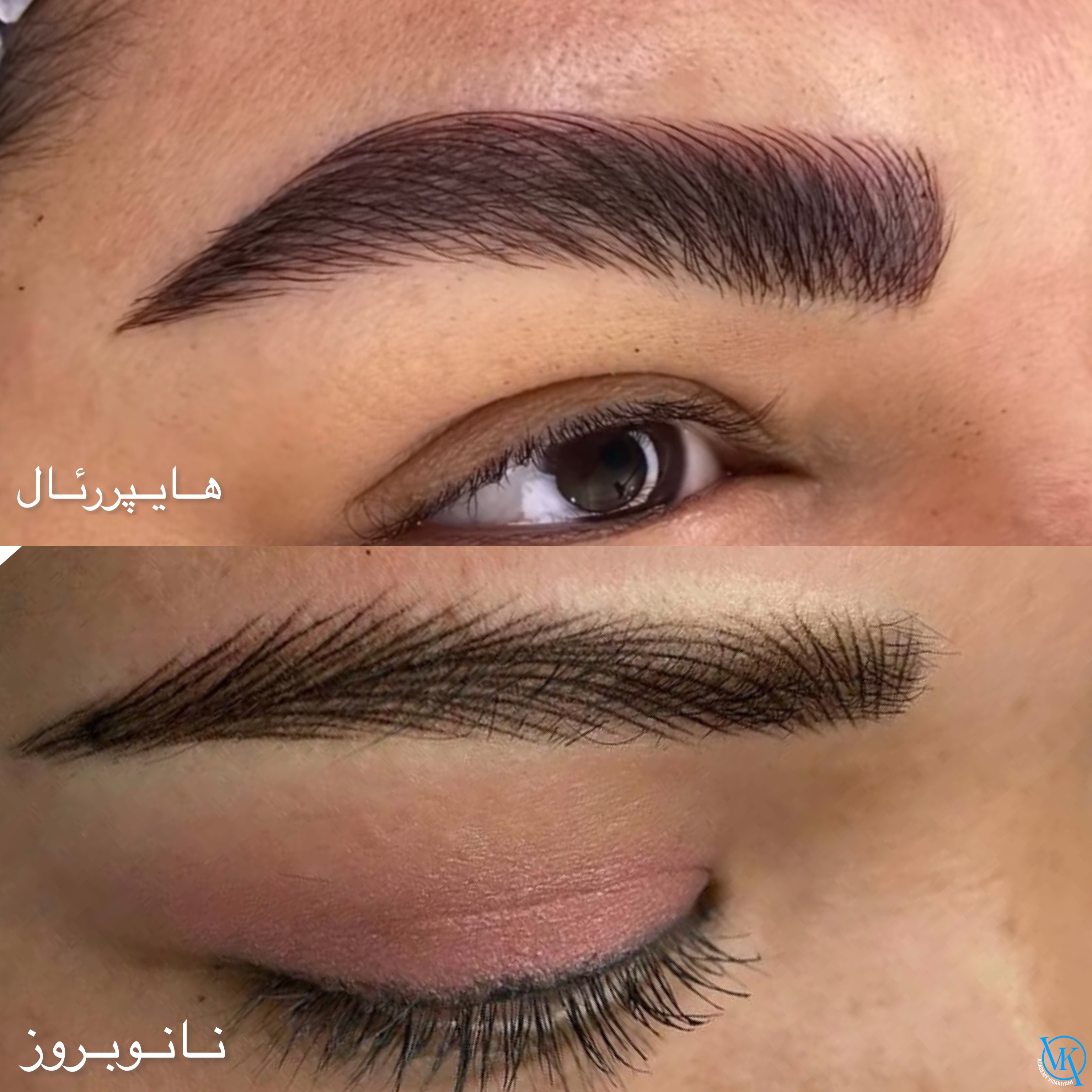 سیلوئت